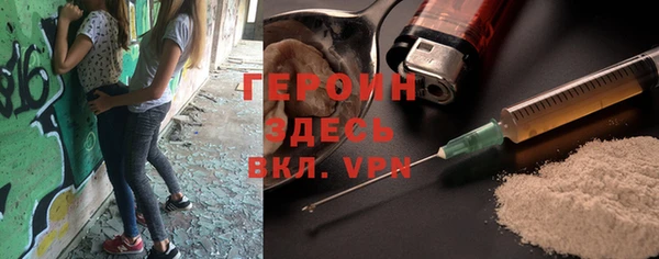 шишки Новодвинск