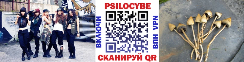Псилоцибиновые грибы Psilocybe закладки omg вход Шенкурск