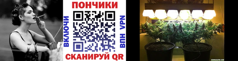 МАРИХУАНА MAZAR купить закладку Шенкурск